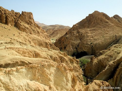 Balade en 4x4. L'oasis du désert de Chebika. Le paysage est à couper le souffle!