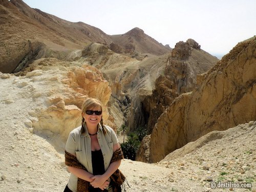 Balade en 4x4. L'oasis du désert de Chebika
