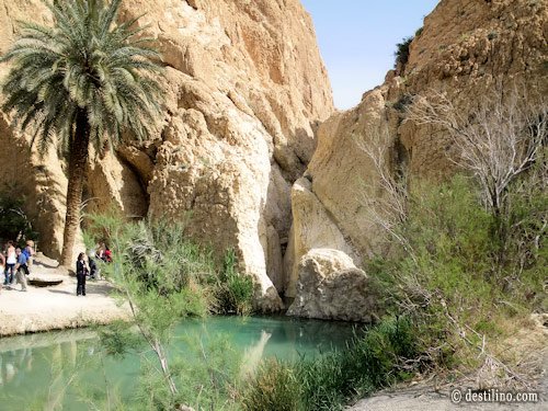 Balade en 4x4. L'oasis du désert de Chebika