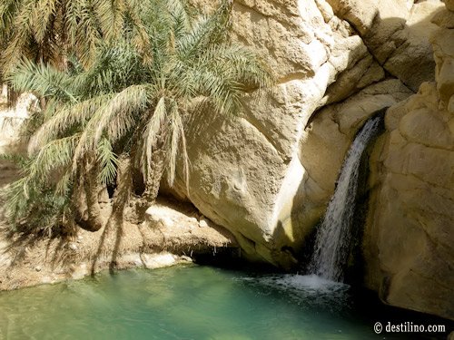 Balade en 4x4. L'oasis du désert de Chebika