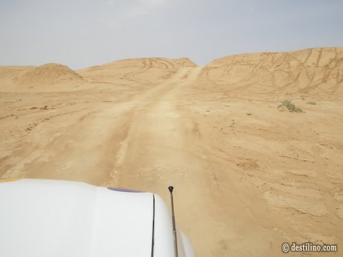 Balade en 4x4 dans le désert
