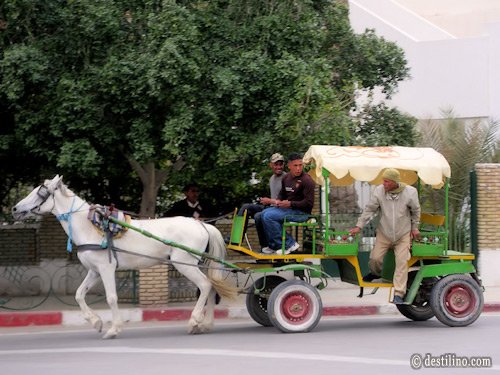 Tozeur. La ville ou village?