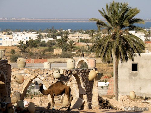 Visite de l'île de Djerba. Guellela et ses poteries