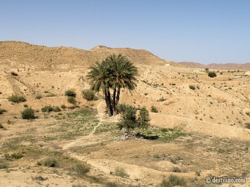En route vers Matmata. Paysage magnifique