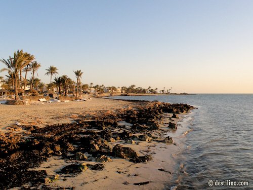 El Mouradi Djerba Menzel