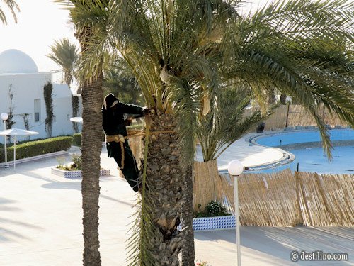 El Mouradi Djerba Menzel