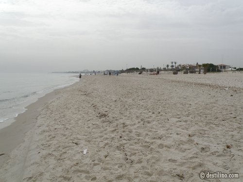 El Mouradi Palm Marina