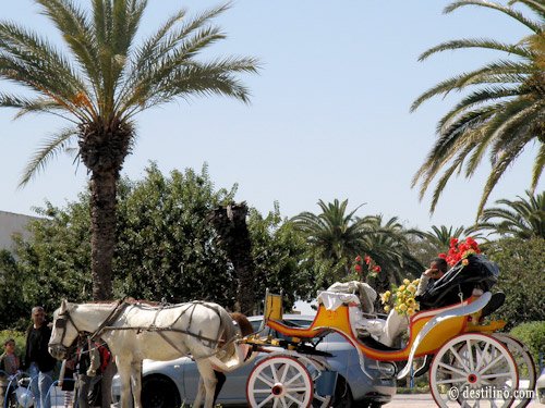 Monastir