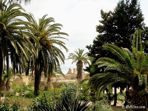 Carthage 