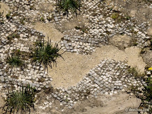 Carthage, les thermes d'Anthonin, mosaiques romaines