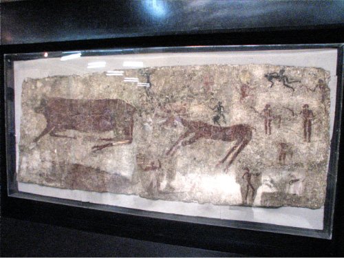 Peintures rupestres découpées au laser pour y être conservées au musée. Les plus vieilles représentations du taureau