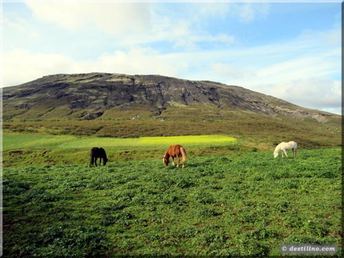 Magnifique paysage d'Islande