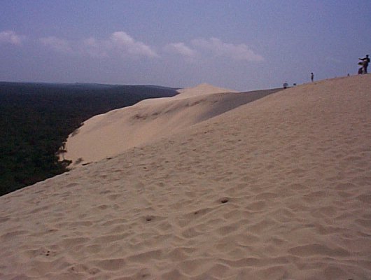 Vue du haut de la dune, côté forêt 