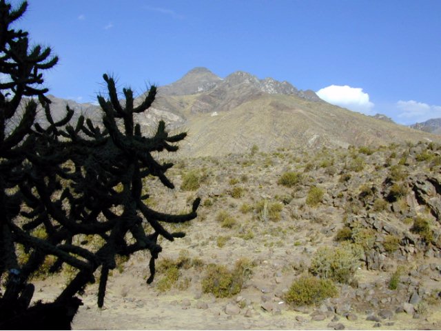 sierra-01.jpg 33.02 K