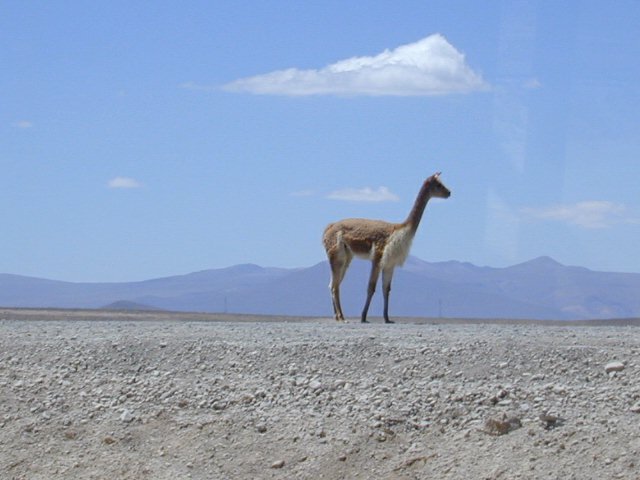 sierra-01.jpg 33.02 K