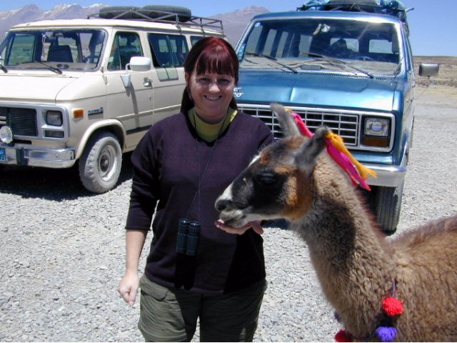 sierra-01.jpg 33.02 K